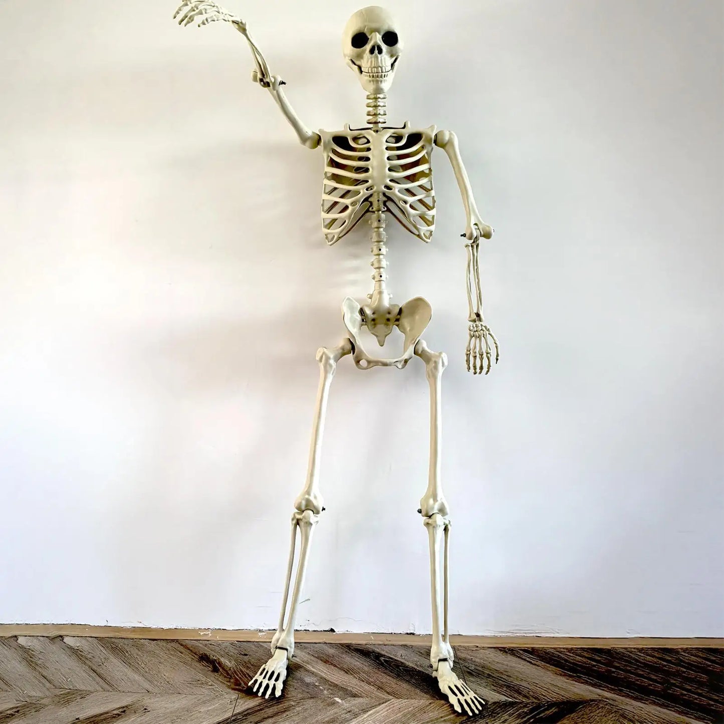 Scheletro di Halloween Scheletro umano a grandezza naturale con articolazioni snodabili