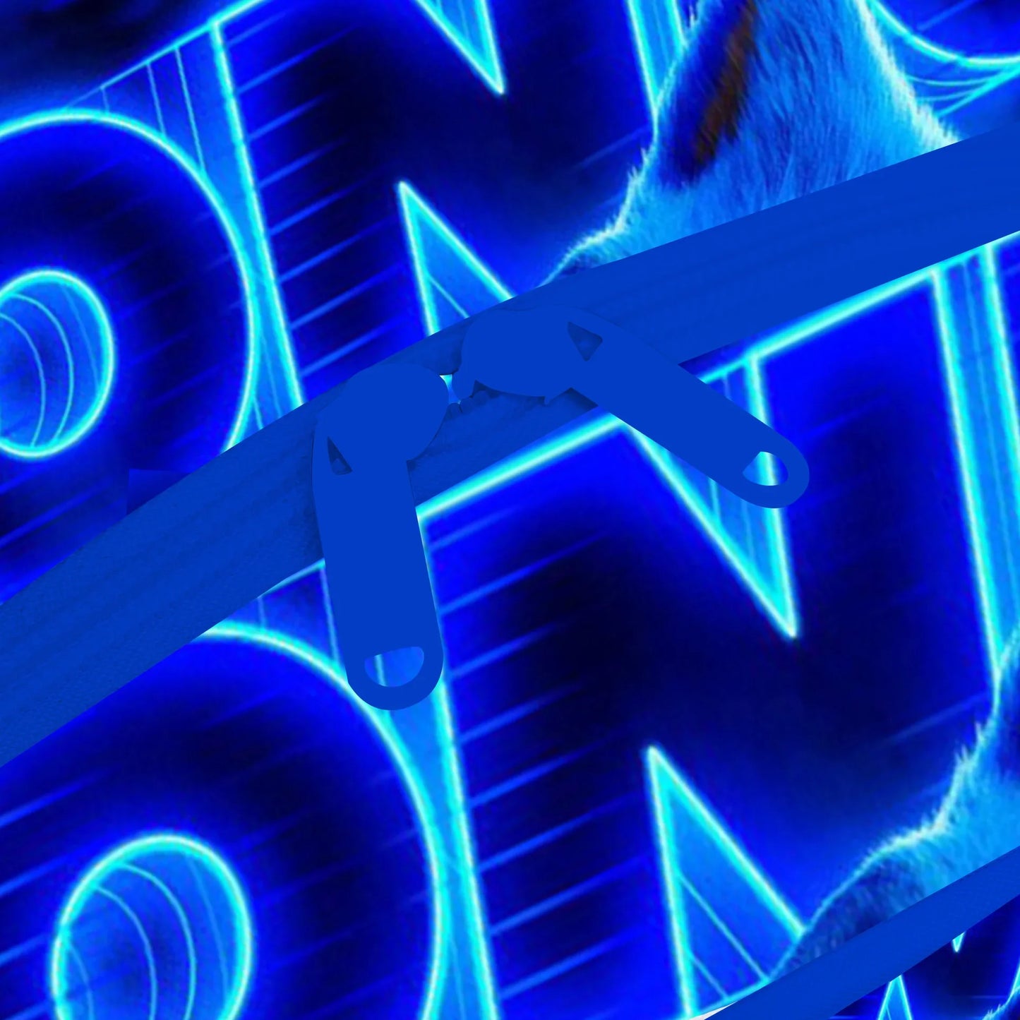 Borse SONIC per studenti delle scuole primarie e secondarie