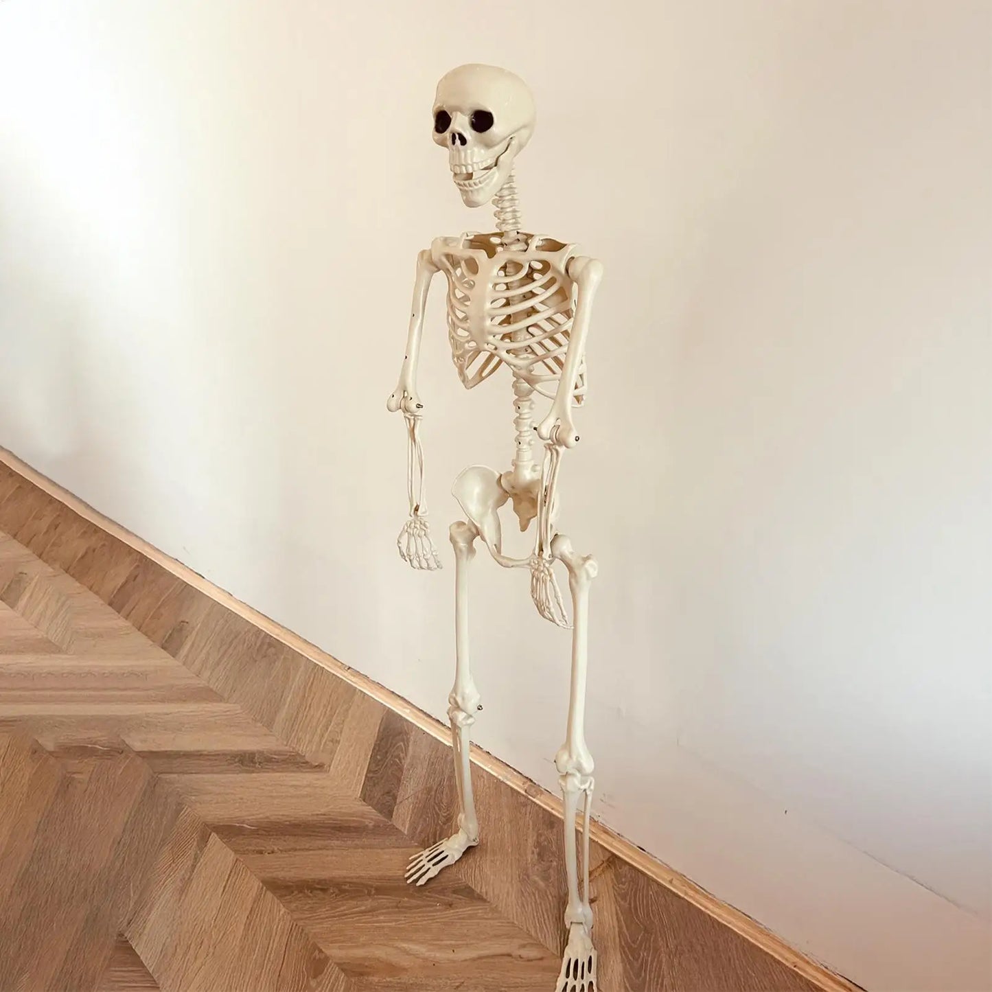 Scheletro di Halloween Scheletro umano a grandezza naturale con articolazioni snodabili