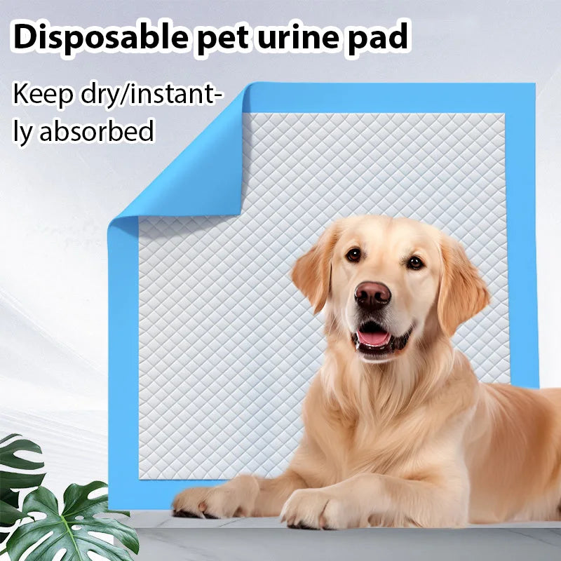 20/40 pezzi di assorbenti monouso per cani, pannolini per l'addestramento degli animali domestici, assorbenti per cuccioli, forniture per animali domestici, cuscini puliti