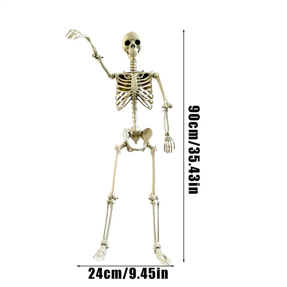 Scheletro di Halloween Scheletro umano a grandezza naturale con articolazioni snodabili
