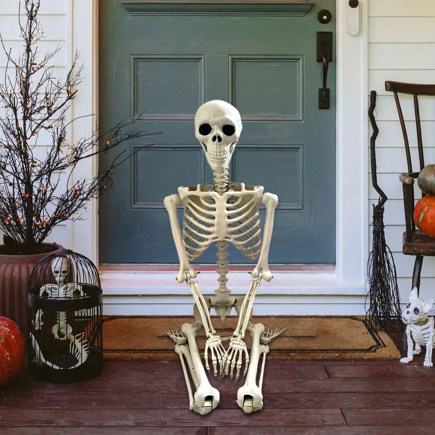 Scheletro di Halloween Scheletro umano a grandezza naturale con articolazioni snodabili