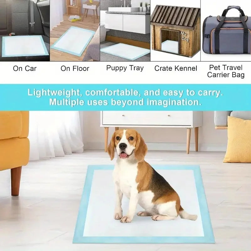 20/40 pezzi di assorbenti monouso per cani, pannolini per l'addestramento degli animali domestici, assorbenti per cuccioli, forniture per animali domestici, cuscini puliti