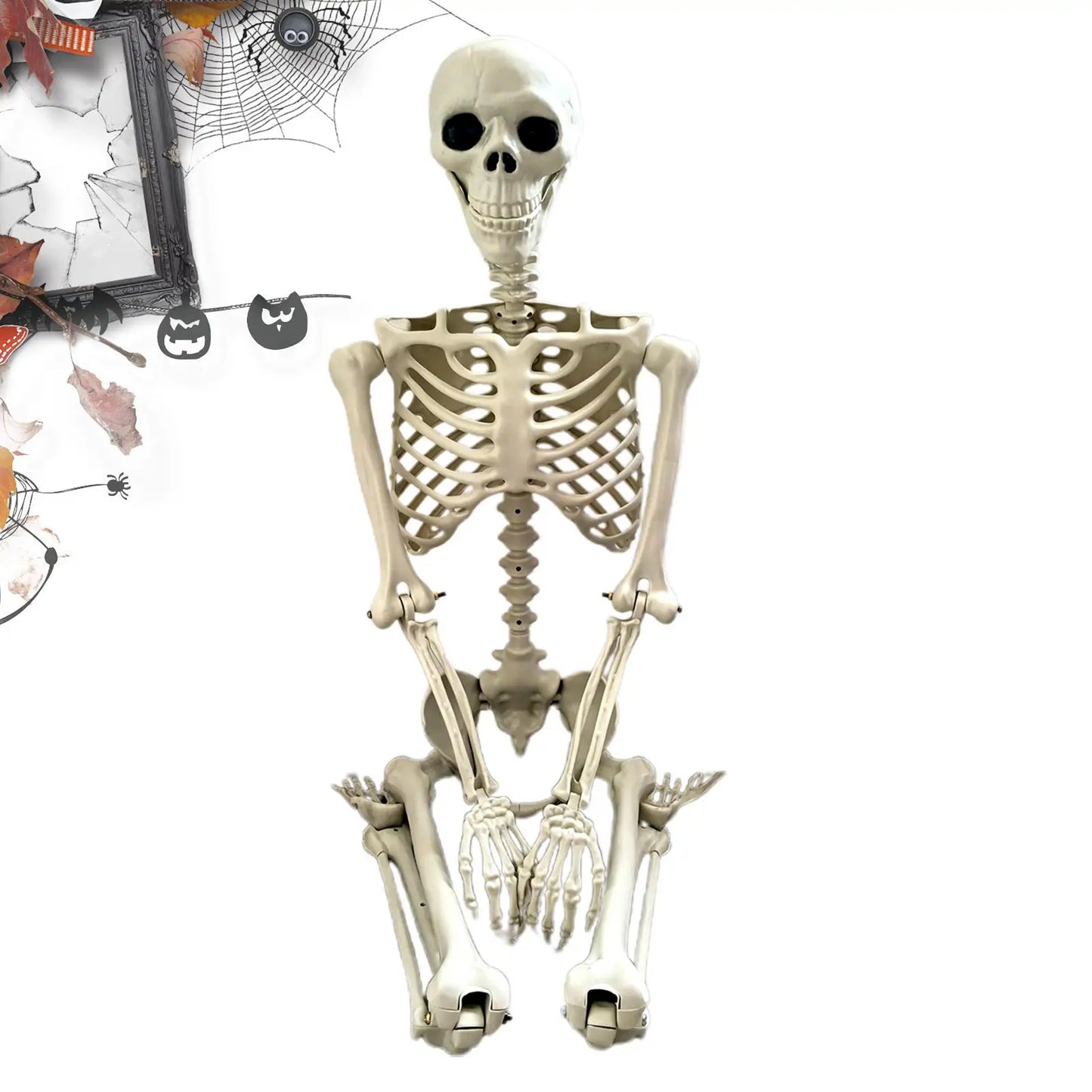 Scheletro di Halloween Scheletro umano a grandezza naturale con articolazioni snodabili