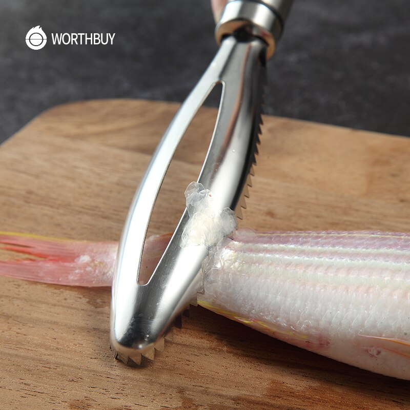 WORTHBUY 18/8 Stainless Steel Fish ScalerSPECIFICATIONSType: Seafood ToolsSuitable Occasions: Kitchen And Home,RestaurantStyle: ChineseSize: 23 x 3cmSeafood Tools Type: Seafood Crackers & PicksOrigin: M1InterMedia WorldI'M'"WorldWORTHBUY 18/8 Stainless Steel Fish Scaler