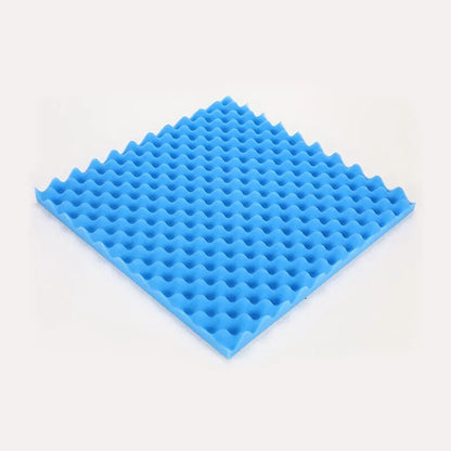 44755354255624