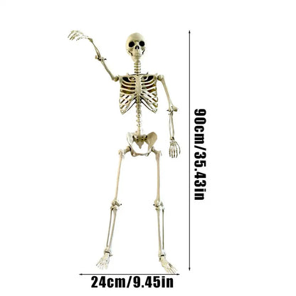 Scheletro di Halloween Scheletro umano a grandezza naturale con articolazioni snodabili