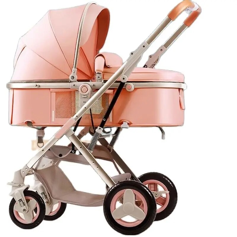 The New Stroller Can Sit and Lie High