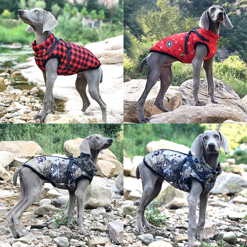 Winter DogSPECIFICATIONSyorkies clothes: pug clothing dogpuppy clothes: dog jacket winter waterprooflabrador dog clothes: clothing for dogsfrench bulldog clothes: french bullddogsIntermedia WorldI'M'"WorldWinter Dog