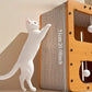 Lettino e tiragraffi - Regalo perfetto per gli amanti dei gatti, tiragraffi per gatti | Sdraio per gatti | Costruzione robusta