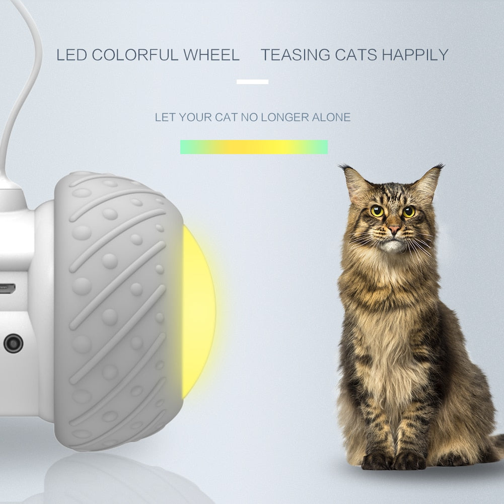 Smart Interactive Cat Toy Smart Interactive Cat Toy 