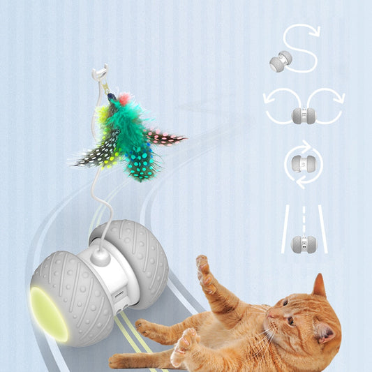 Smart Interactive Cat Toy Smart Interactive Cat Toy 